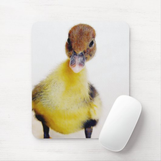 Muscovy Duckling Mousepad (Mit Mouse)