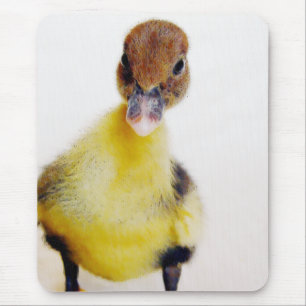 Muscovy Duckling Mousepad