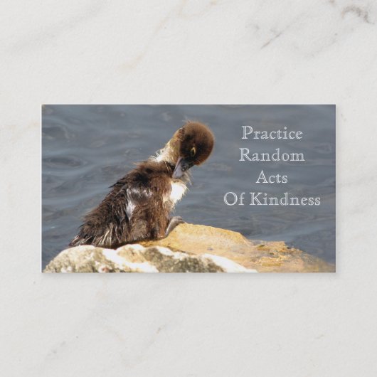 Muscovy Duckling - RAOK Cards (Größe der Visitenka Visitenkarte (Vorderseite)