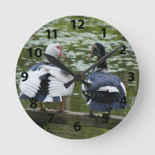 Muscovy Ducks Sitting on a Bench Clock Runde Wanduhr