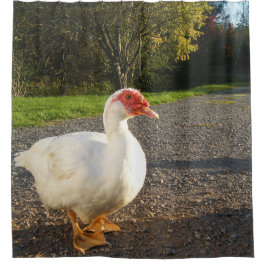 Muscovy-Ente Drake Duschvorhang