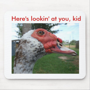 Muscovy-Ente mousepad