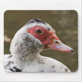Muscovy-Ente Mousepad (Vorne)
