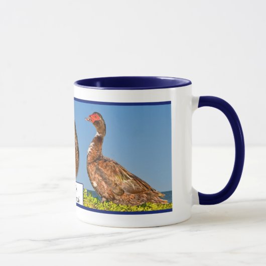 Muscovy-Ente Tasse (Rechts)