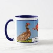 Muscovy-Ente Tasse (Links)