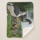 Muscovy-Enten-Familie Sherpadecke (Vorderseite)