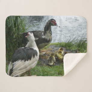 Muscovy-Enten-Familie Sherpadecke