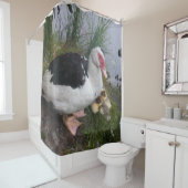 Muscovy-Enten-Mama und Entlein Duschvorhang (Beispiel)