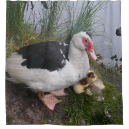 Muscovy-Enten-Mama und Entlein Duschvorhang
