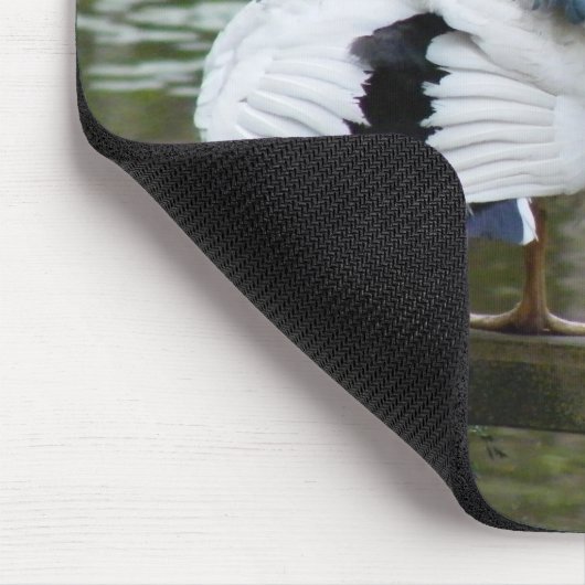 Muscovy-Enten Mousepad (Ecke)