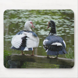 Muscovy-Enten Mousepad