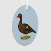 Muscovy-Enten-Schokolade Ornament (Vorderseite)