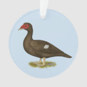 Muscovy-Enten-Schokolade Ornament (Vorderseite)