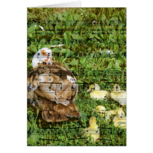 Muscovy Hen und Ducklings mit Duckling Song