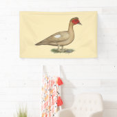 Muscovy Light Chocolate Drake Banner (Insitu)