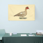 Muscovy Light Chocolate Drake Banner (Messeveranstaltung)