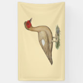 Muscovy Light Chocolate Drake Banner (Vertikal)