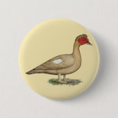 Muscovy Light Chocolate Drake Button (Vorderseite)