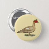 Muscovy Light Chocolate Drake Button (Vorne & Hinten)