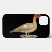 Muscovy Light Chocolate Drake Case-Mate iPhone Hülle (Rückseite (Horizontal))