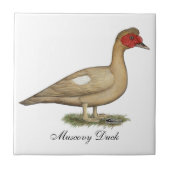 Muscovy Light Chocolate Drake Fliese (Vorderseite)