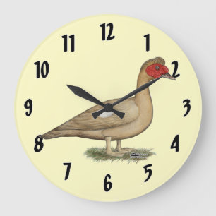 Muscovy Light Chocolate Drake Große Wanduhr