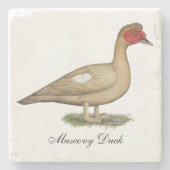 Muscovy Light Chocolate Drake Steinuntersetzer (Vorderseite)