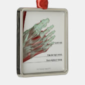 Musculoskeleton des Fußes Ornament Aus Metall (Rechts)