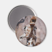 Muse Magnet #1 (Vorderseite/Rückseite)