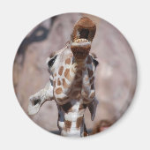 Muse Magnet #1 (Vorne)