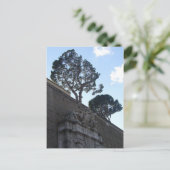 musei vatacani postkarte (Stehend Vorderseite)