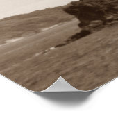 Museu de arte contemporanea2 poster (Ecke)