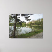 Museum Büffalo Geschichte