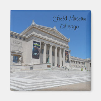 Museum Chicago Field Magnet