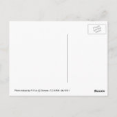 Museum Denver Art Postkarte (Rückseite)