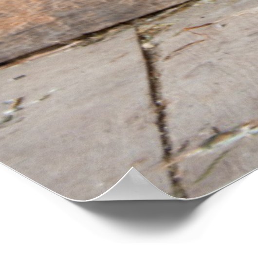 Museum für Bauern. Kürbis in Scheune mit Heu Poster (Ecke)