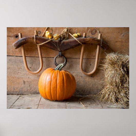 Museum für Bauern. Kürbis in Scheune mit Heu Poster (Vorne)