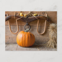 Museum für Bauern. Kürbis in Scheune mit Heu