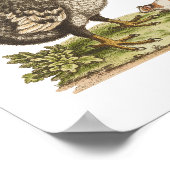 Museum für Naturgeschichte, Dodo-Extinct-Bird-Post Poster (Ecke)