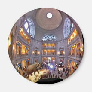 Museum für Naturgeschichte Magnet