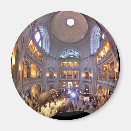 Museum für Naturgeschichte Magnet (Vorne)