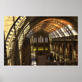 Museum für Naturgeschichte Poster