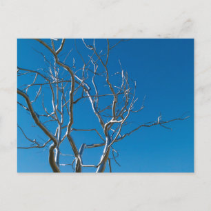 Museum Saint-Louis Postkarte