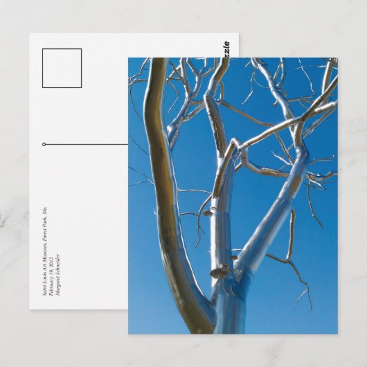 Museum Saint Louis Postkarte (Vorne/Hinten)