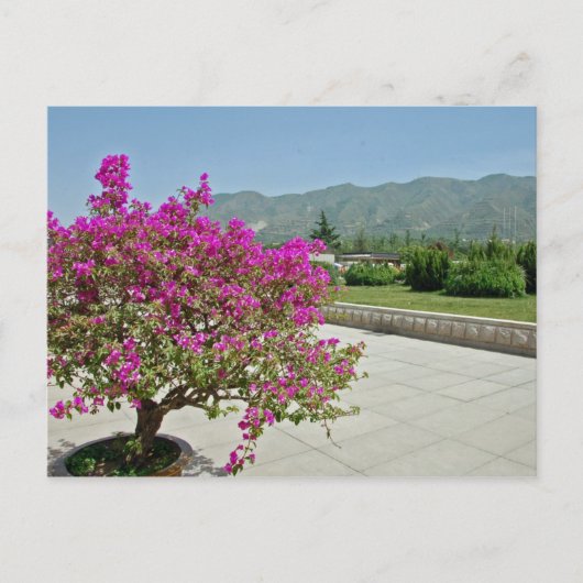 Museumsansicht, Xian, China Postkarte (Vorderseite)
