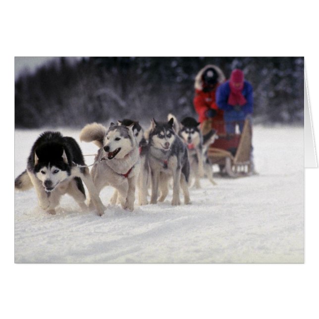 Mush (Vorderseite (Horizontal))