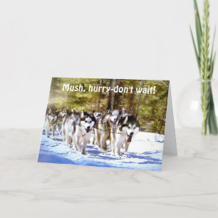 MUSH HURRY WARTET NICHT AUF DEN 50. BIRTHTAG KARTE