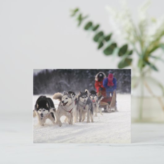 Mush Postkarte (Stehend Vorderseite)