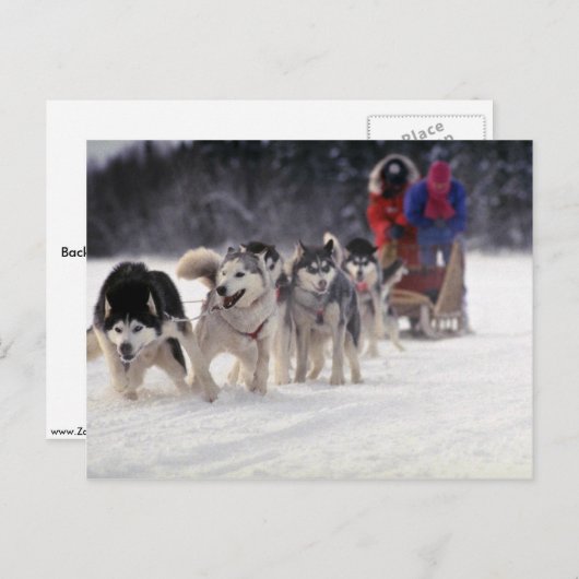 Mush Postkarte (Vorne/Hinten)