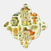 MUSHÖME 2 GESCHENKSCHACHTEL (Ungefaltet)